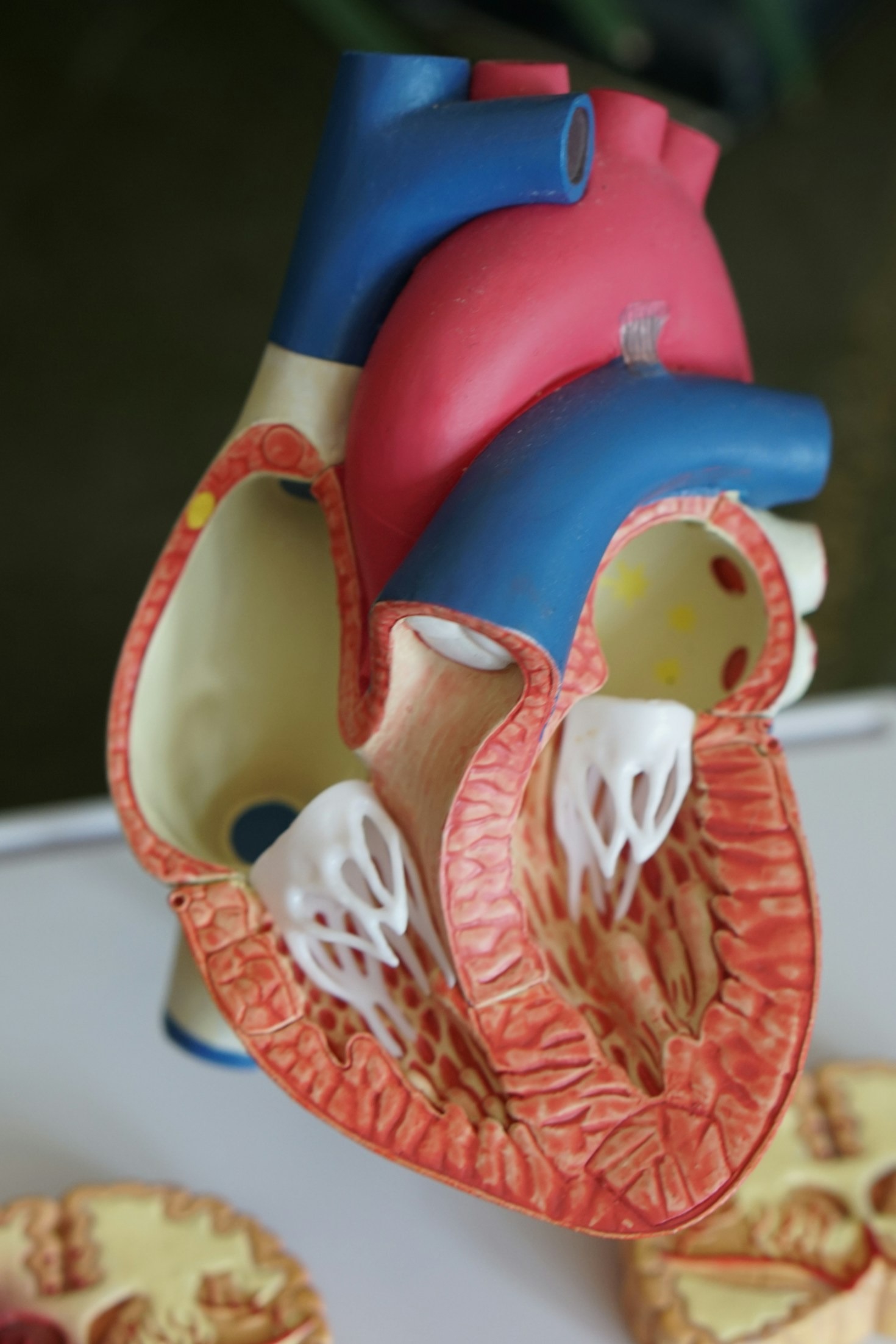 Top 5 Benefits of Choosing a Health Share Provider